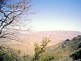 Anza Borrego Desert 03