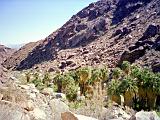 Anza Borrego Desert 06