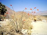 03-A Anza Borrego