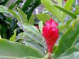 04 Kauai 06