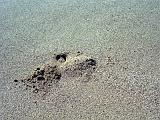 05 Polihale Beach 05