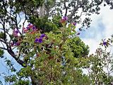 08 Waimea Canyon 02