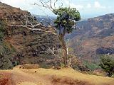08 Waimea Canyon 04