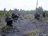 15 Crater Rim Trail 14