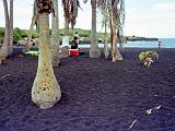 16 Puuhonua 01