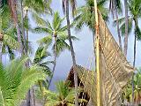 16 Puuhonua 02