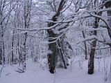 12-B Smugglers Notch