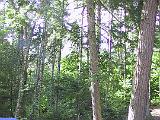Lake Umbagog 06
