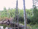 Lake Umbagog 09