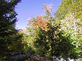 110-1061 IMG : Fuessen
