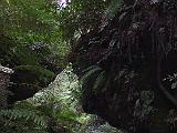 A Blue Mountains 07
