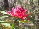 A Blue Mountains 09