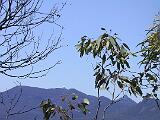 Australia 038