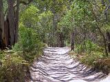 Australia 071