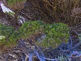 Australia 094