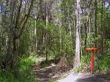 Australia 109