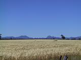 B Drive to Warrumbungles 08