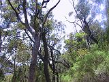 C Warrumbungles 07