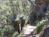 C Warrumbungles 14