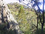 C Warrumbungles 18