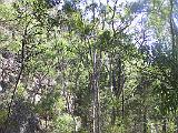 C Warrumbungles 19