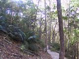E Fraser Island 12