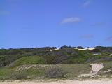 E Fraser Island 16