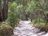 E Fraser Island 17