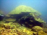 F Heron Island 21