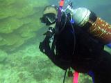 F Heron Island 22