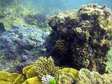 F Heron Island 24