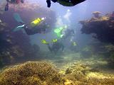 F Heron Island 33