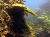 F Heron Island 35