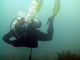F Heron Island 42