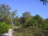 F Heron Island 49