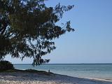F Heron Island 50