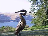 20020831 Columbia Gorge002 : Fuessen