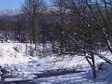 Abbeys Pond 007 : Fuessen