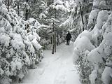Mt Abraham 006
