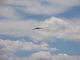 Airshow 165 : Fuessen