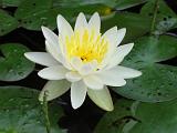 Weller Pond 031 : Fuessen