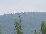 Weller Pond 091 : Fuessen