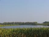 Brazos Bend 001 : Fuessen
