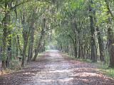 Brazos Bend 015 : Fuessen