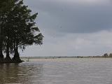 Turtle Bayou 003 : Fuessen