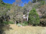 Hill Country 002
