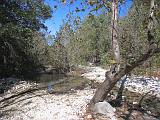 Hill Country 005