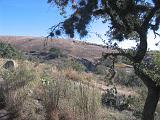 Hill Country 012