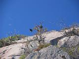 Hill Country 015