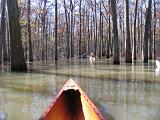 12-B Lake Charlotte
